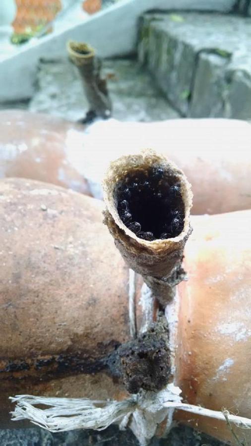 Meson Yohualichan Cuetzalán del Progreso Esterno foto